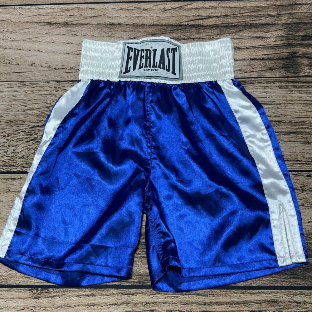 Vintage 2000s Everlast Boxing Trunks Mens L Royal Blue White Satin Fight Shorts
